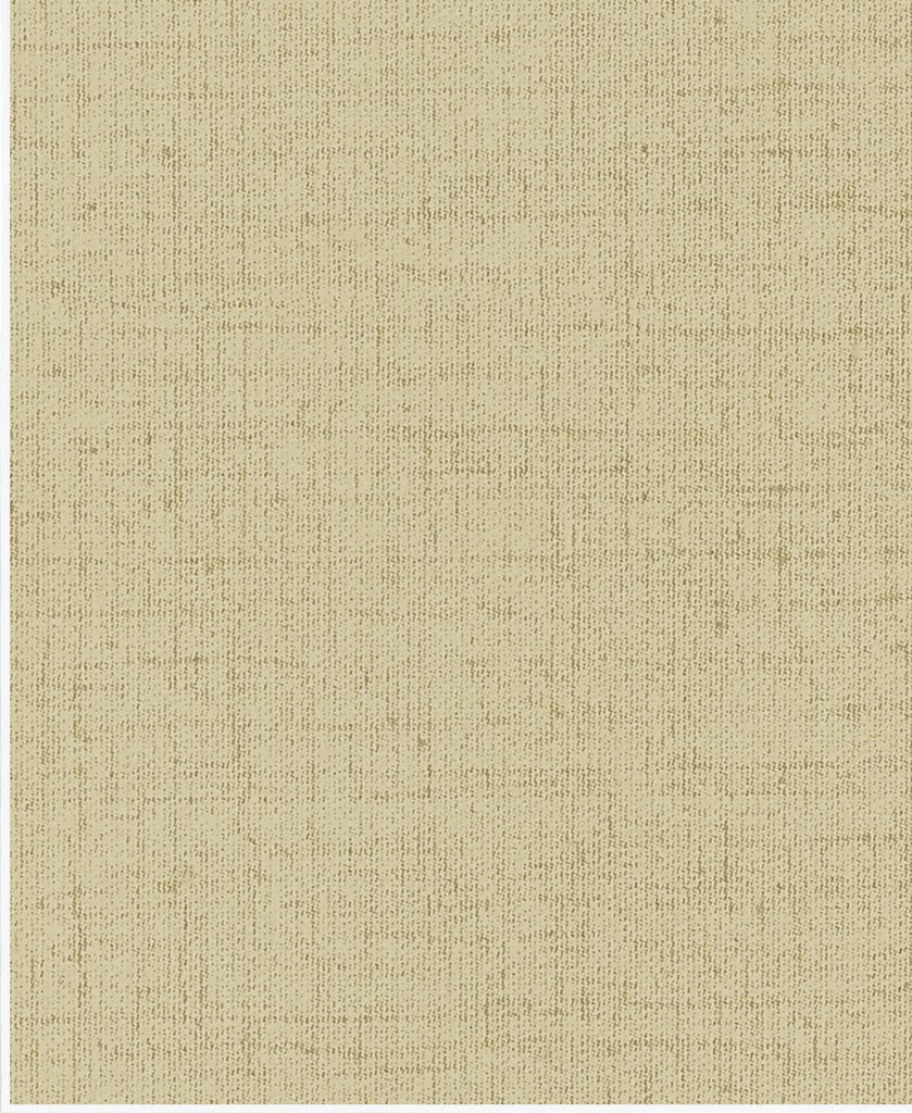 S610.jpg
