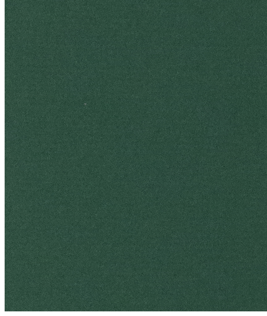 W5049.jpg
