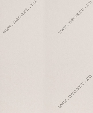 H1003 Картон д/паспарту НЕОСТАРТ, 81x102см, 1.3мм (Слоновая кость)