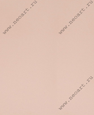 Q1079 Картон д/паспарту НЕОПРОФИ, 81x102см, 1.3мм (Персик)