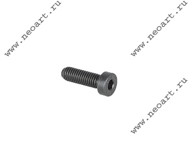 Z4257 Болт 8х25