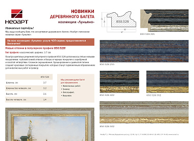 850.528.221 Деревянный багет (528.102.22A.QD)