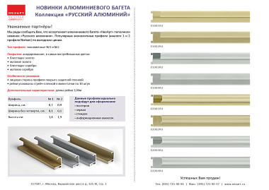 01004RU Алюминиевый багет