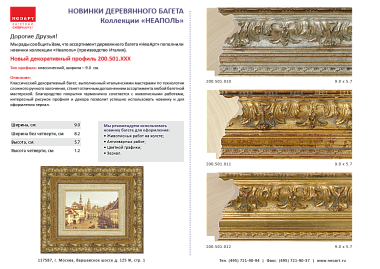 200.501.012     Деревянный багет