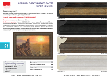 620.M103.821   Багет пластик