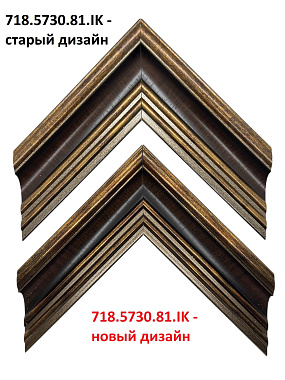 718.5730.81.IK Багет пластик
