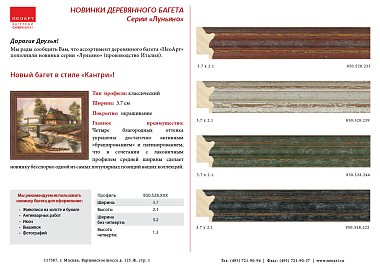 850.528.239 Деревянный багет (528.102.39.QD)