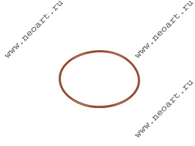 623539  Уплотнительное кольцо для помпы